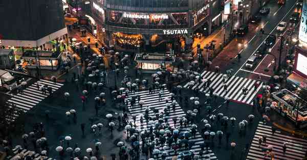 雷竞技raybetapp官网下载,雷竞技raybet最新版下载